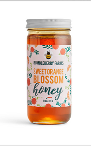 Pure Orange Blossom Honey - 11OZ