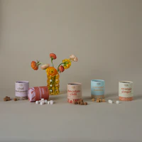 Sugar Cubes - Rose Cardamom 30ct